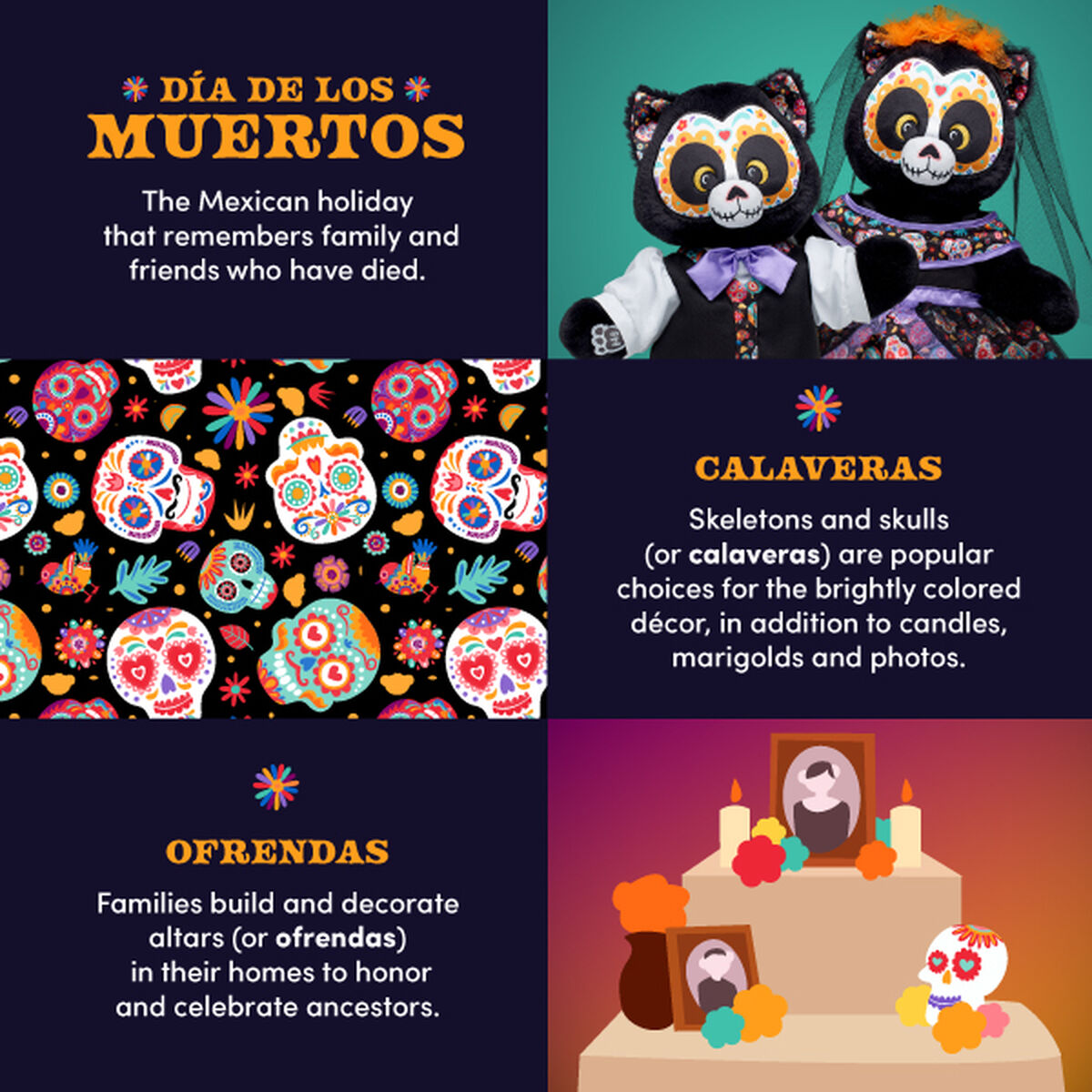 Día de los Muertos Cat Stuffed Animal Suit Gift Set
