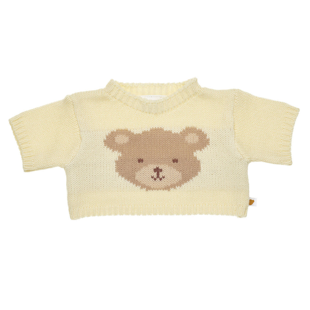 Teddy Bear Sweater