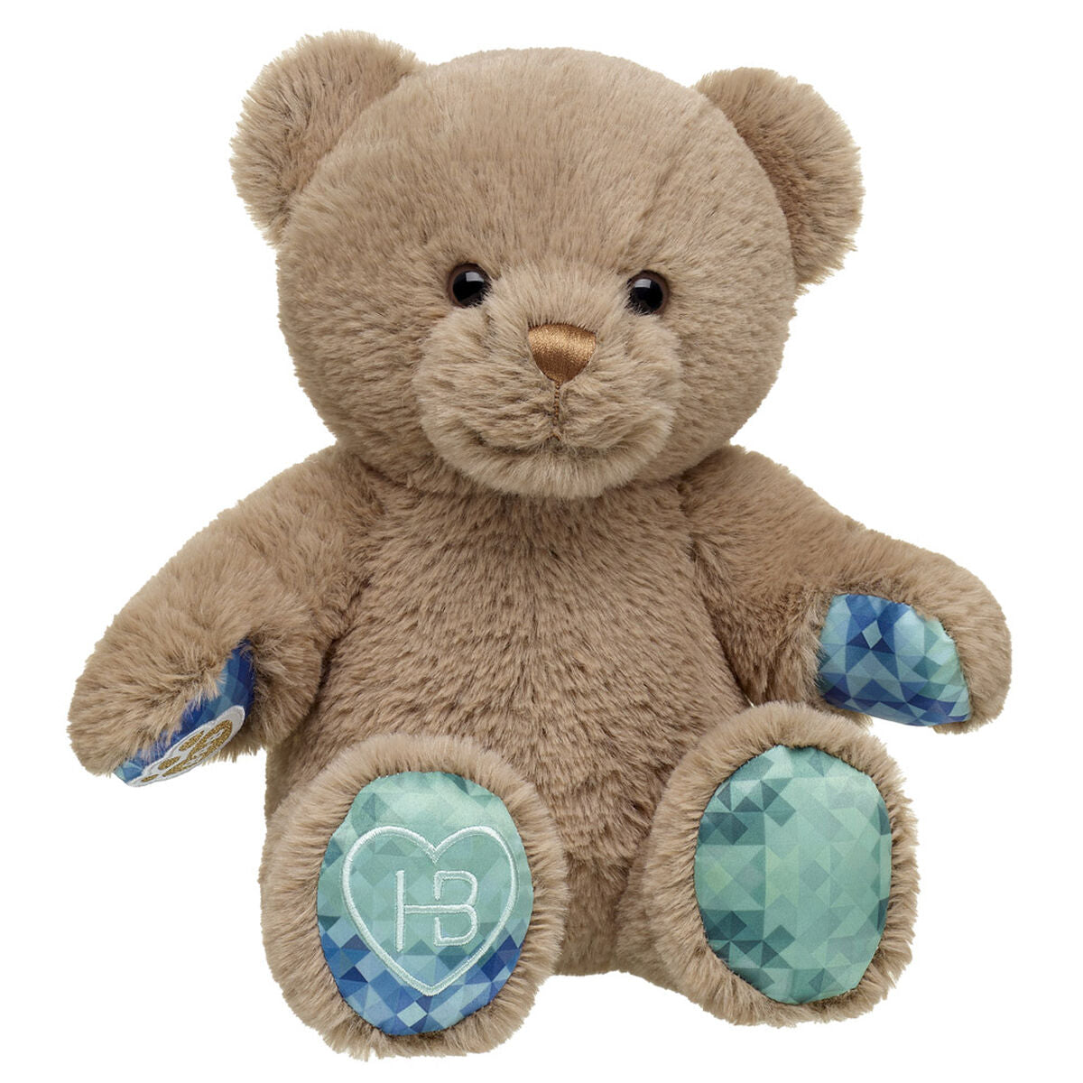 Well Wishes Teddy Bear